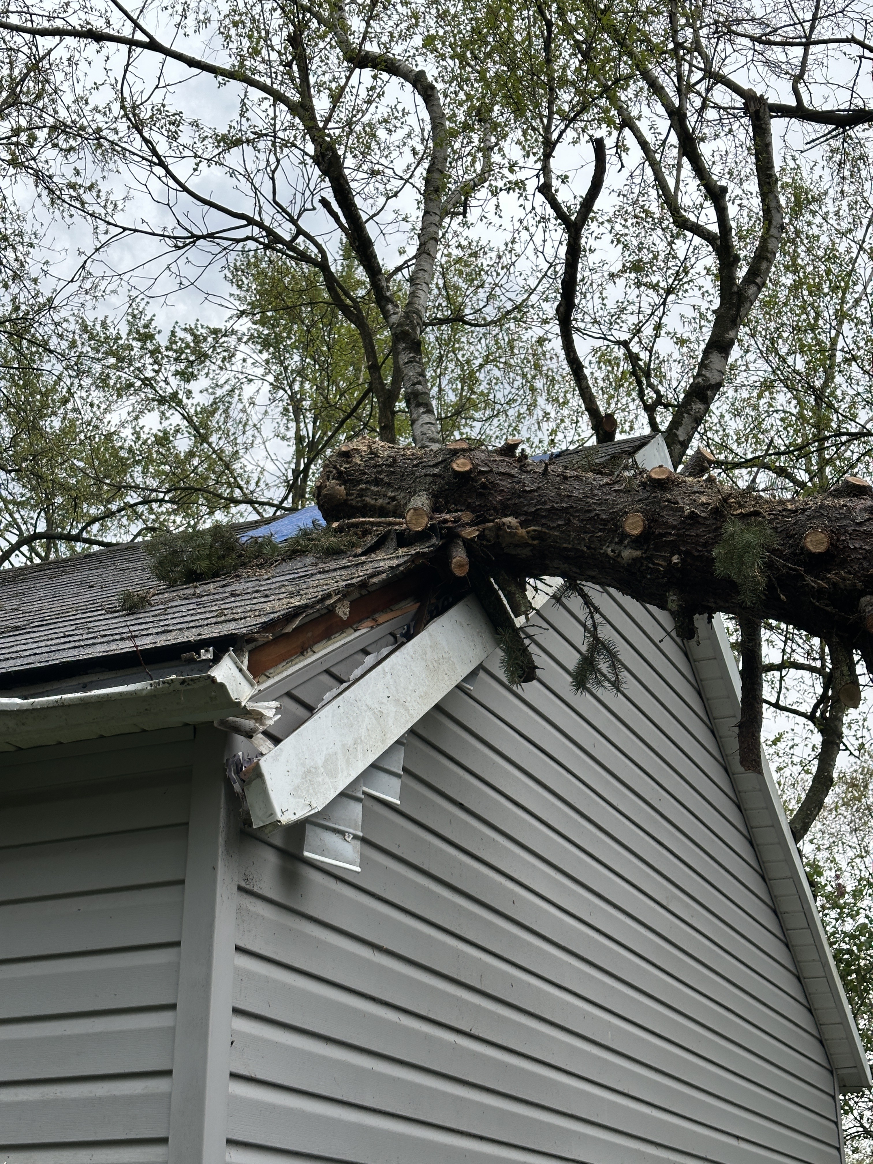Insurance Restoration